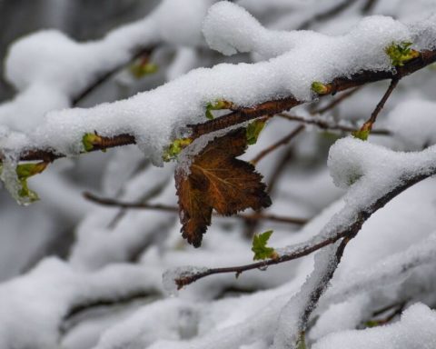 Authorities warn of heavy rains and snowfall in the states