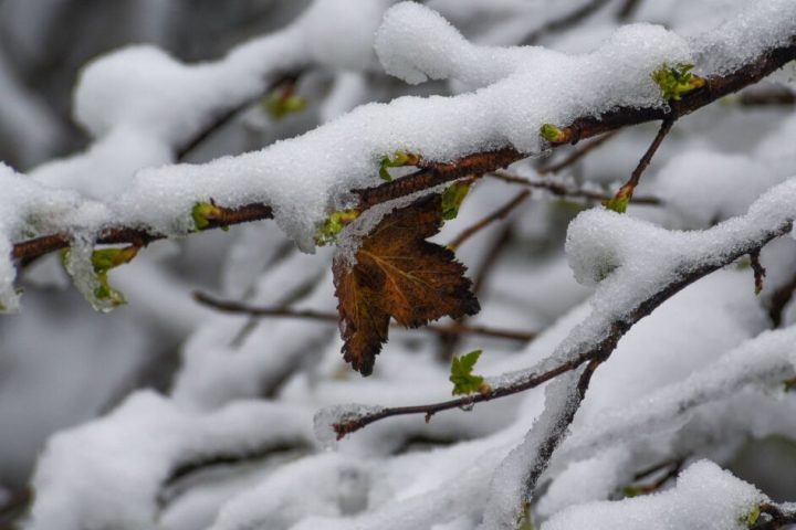 Authorities warn of heavy rains and snowfall in the states