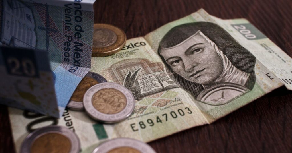 Banxico lowers the rate and the Cetes adjust their yields at Christmas