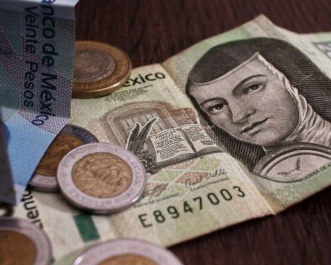 Banxico lowers the rate and the Cetes adjust their yields at Christmas