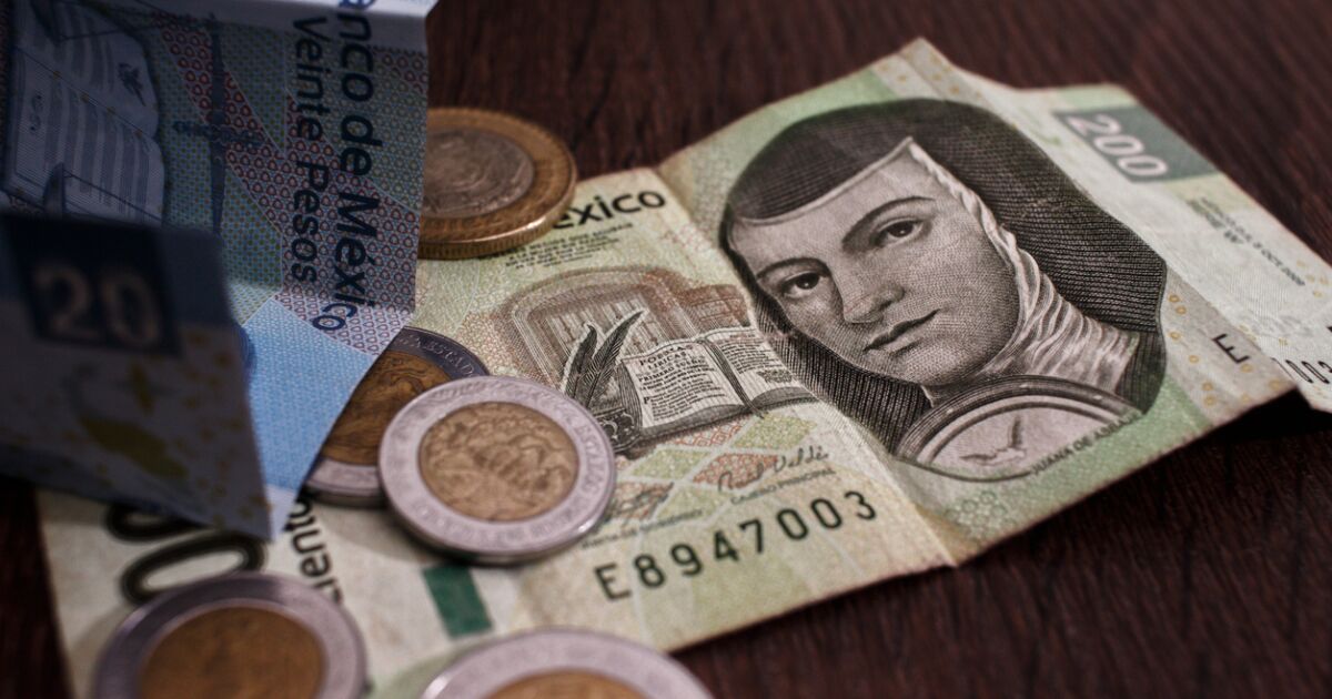 Banxico lowers the rate and the Cetes adjust their yields at Christmas