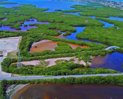 Behind, more than 40,000 procedures for water titles