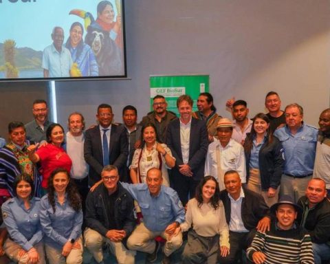 BioSur: the new commitment to restore thousands of hectares and reinforce climate action in the south of the country