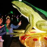 Boyacá lights up Christmas: lighting and plans in 57 municipalities