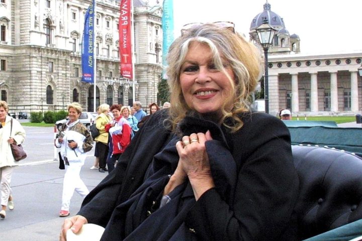 Brigitte Bardot, icon of French cinema, dies