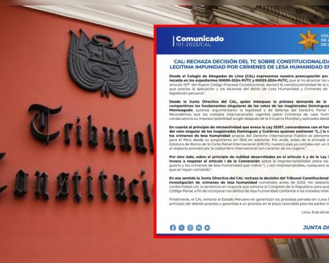 CAL rejects TC decision and warns about impunity for crimes against humanity: "Limit research"