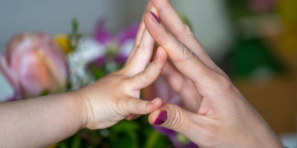 CCJ of the Chamber approves end of parental alienation law