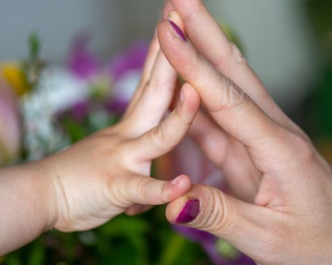 CCJ of the Chamber approves end of parental alienation law