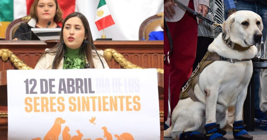 CDMX will celebrate the 'Day of sentient beings' in honor of Frida