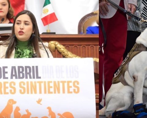 CDMX will celebrate the 'Day of sentient beings' in honor of Frida