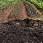 CMN extends aid to producers affected by the climate