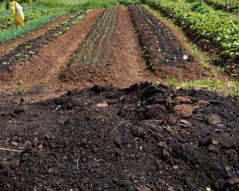 CMN extends aid to producers affected by the climate