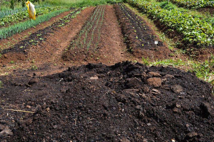 CMN extends aid to producers affected by the climate