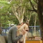 Cade approves merger between Petz and Cobasi with restrictions