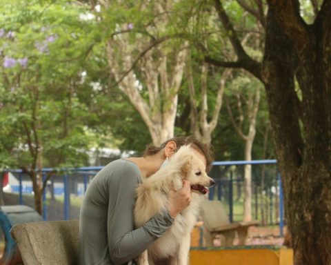 Cade approves merger between Petz and Cobasi with restrictions