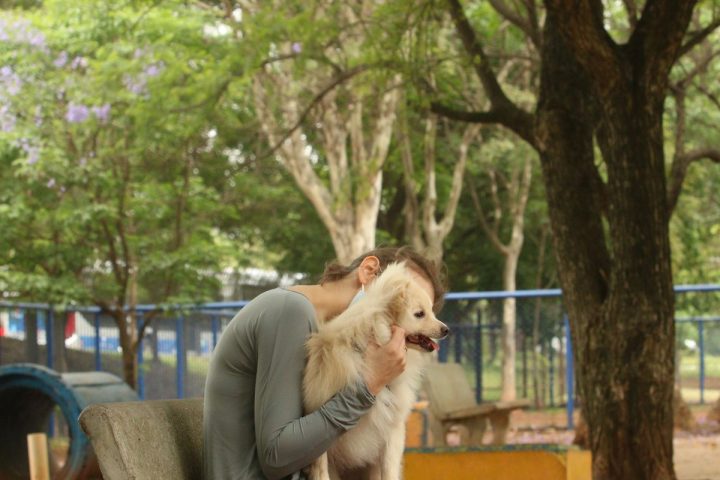 Cade approves merger between Petz and Cobasi with restrictions