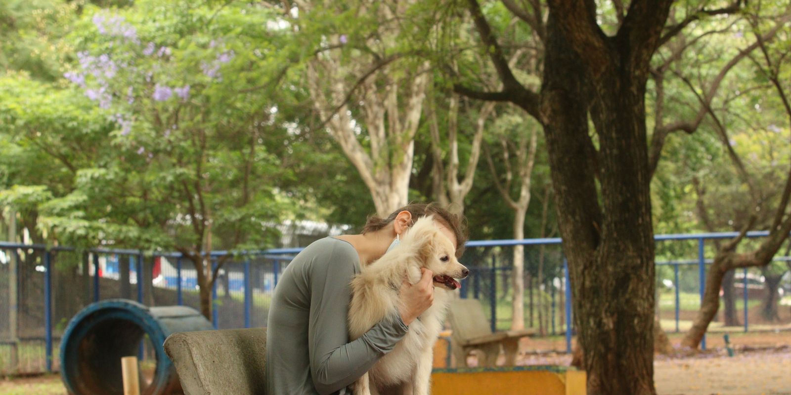 Cade approves merger between Petz and Cobasi with restrictions