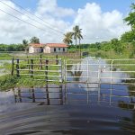 Campo Caribe: neighbors report overflows and deterioration of the Yaracuy River