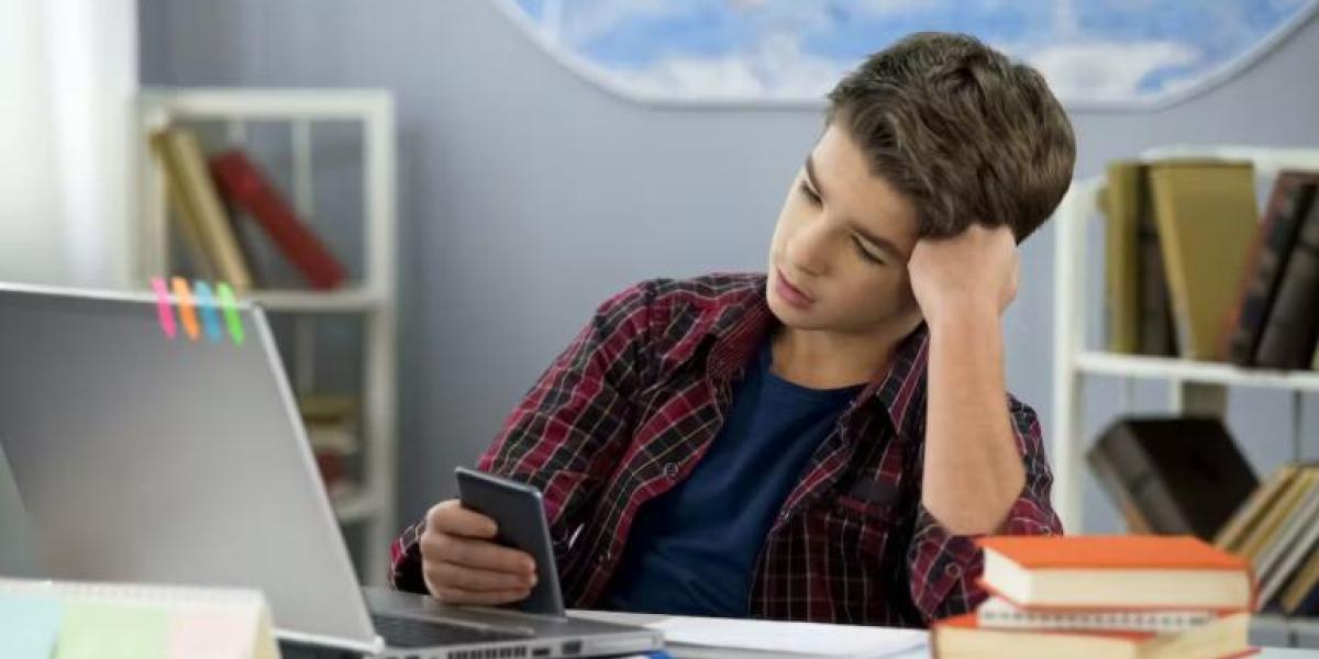 Cell phone registration: How many telephone lines can be registered per person?