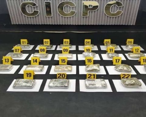 Cicpc seized 11 kilograms of alleged marijuana in Nueva Esparta