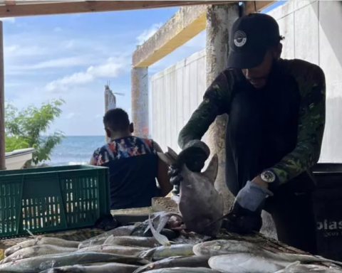 Colombian fishermen fear for their lives in the face of US bombings