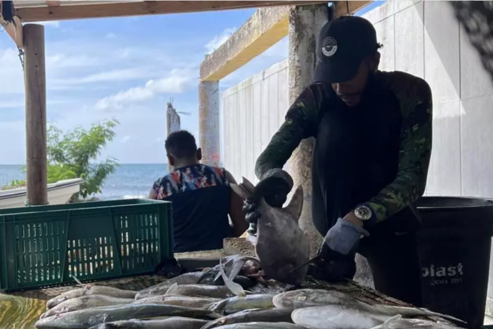 Colombian fishermen fear for their lives in the face of US bombings