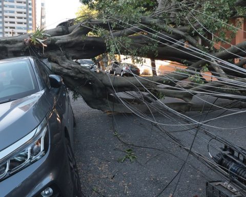 Commerce loses more than R$50 million due to power outages in São Paulo