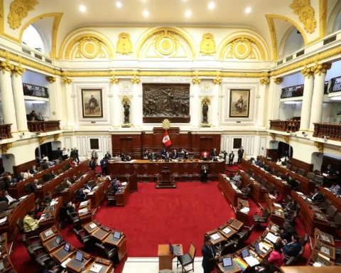 Congress formalizes delegation of powers to the Executive in citizen security