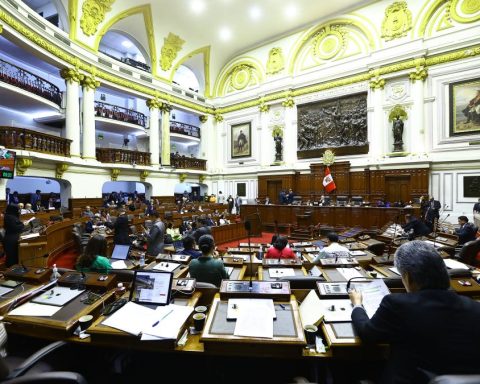 Congressmen finish the legislature with two semi-in-person plenary sessions