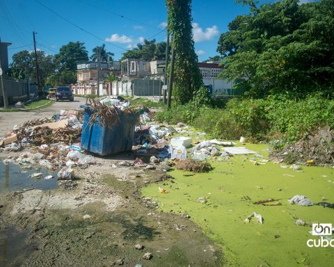 Cuba: They estimate that the chikungunya and dengue epidemic could be under control “shortly”