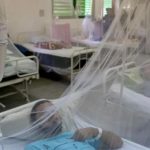 Cuba raises deaths from chikungunya and dengue to 44 in the midst of an overwhelmed health system