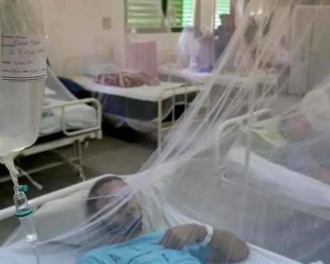 Cuba raises deaths from chikungunya and dengue to 44 in the midst of an overwhelmed health system