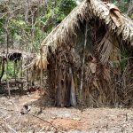 DPU states that prior consultation does not apply to isolated indigenous people