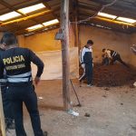 Daily average of homicides is the highest of the last 7 governments