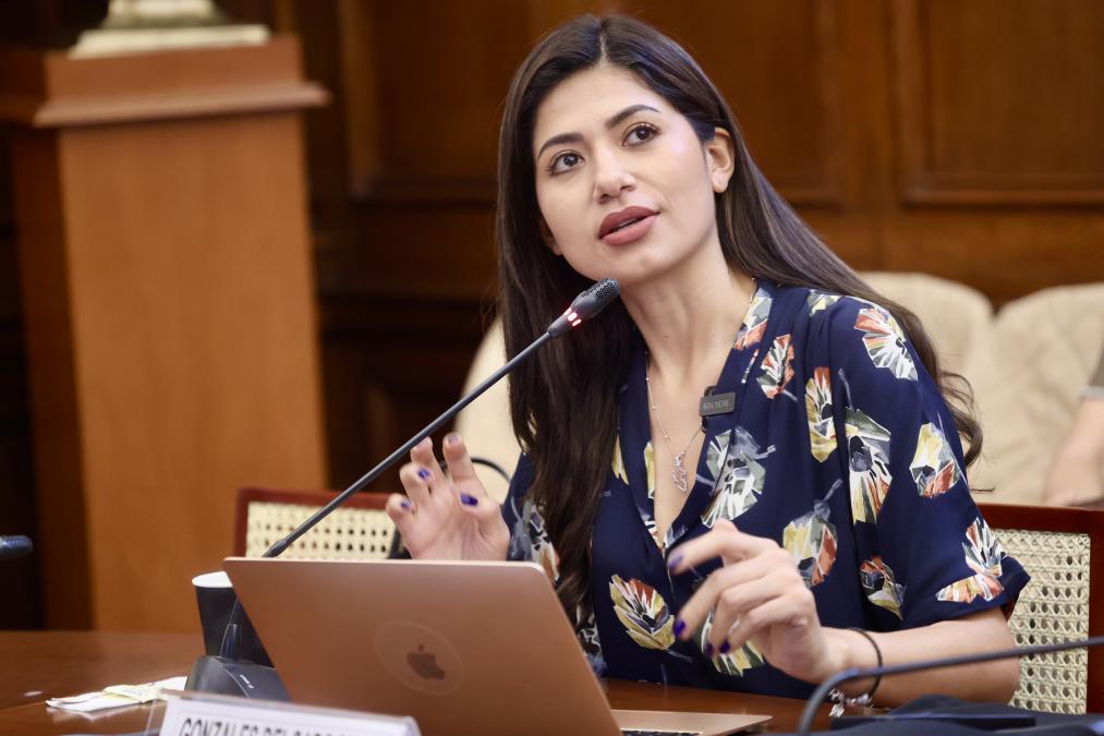 Diana Gonzales: Permanent Commission cannot change the opinion of Reinfo