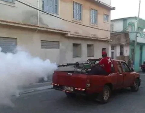 La deficiente fumigación ha empeorado la epidemia de arbovirosis en la Isla