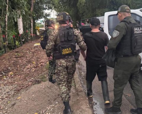 Duro defeats 'Border Commandos' in Huila and Putumayo: Army and Gaula captured four ringleaders