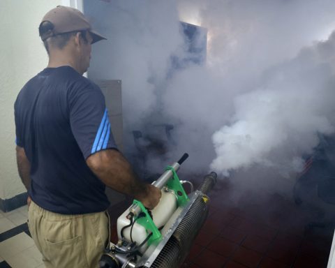 Economic crisis limits Cuba's fight against the chikungunya epidemic, says PAHO representative