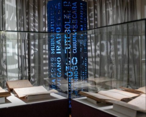 Exhibition in Brasília celebrates 50 years of the Aurélio Dictionary