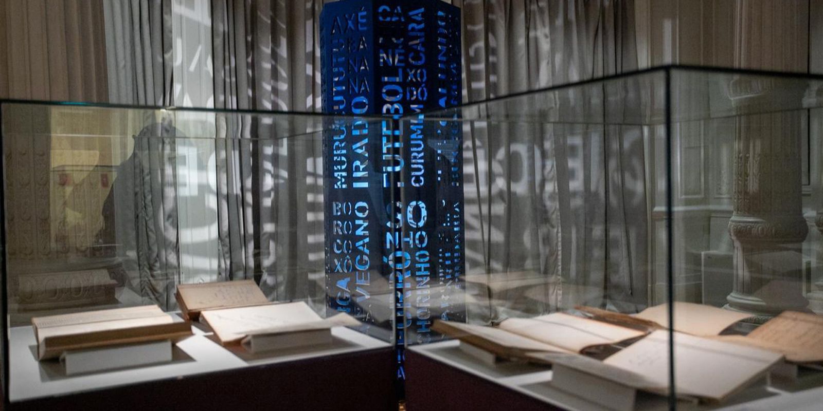 Exhibition in Brasília celebrates 50 years of the Aurélio Dictionary