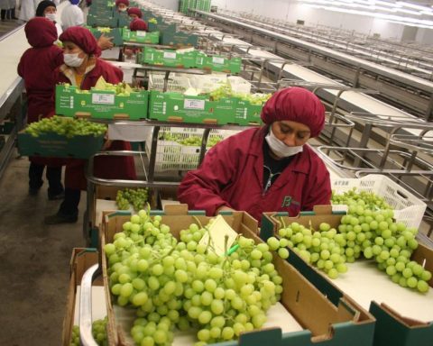 FTA with Hong Kong: The wait that has exporters anxious