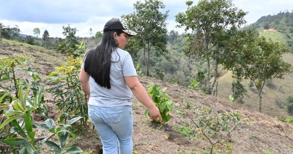 Families affected by the avalanche in Rosas, Cauca, receive land for their permanent relocation