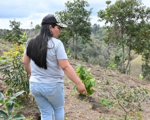Families affected by the avalanche in Rosas, Cauca, receive land for their permanent relocation