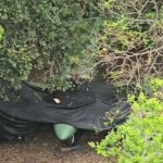 Fanb disables clandestine aircraft in Apure