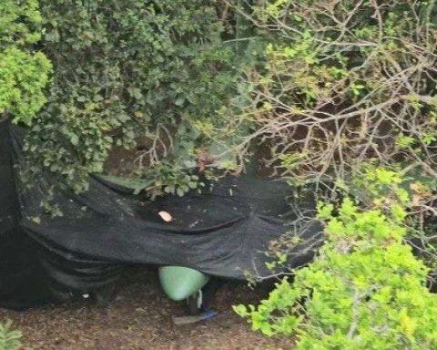 Fanb disables clandestine aircraft in Apure