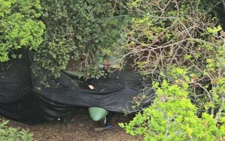 Fanb disables clandestine aircraft in Apure