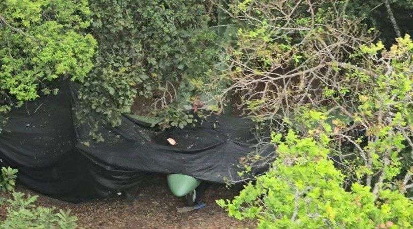 Fanb disables clandestine aircraft in Apure