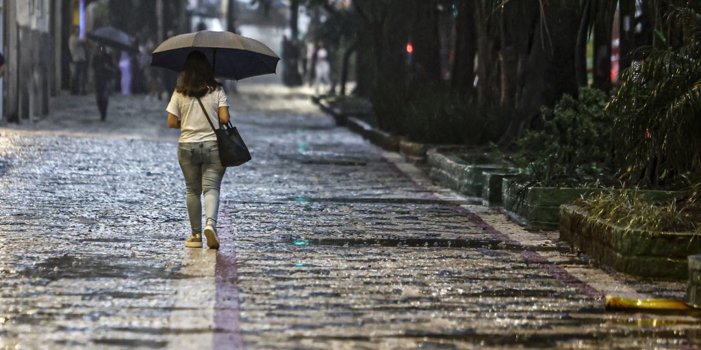 Find out in which regions of Brazil it will rain above average in summer