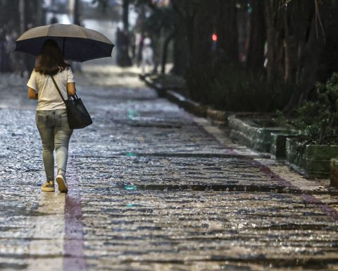 Find out in which regions of Brazil it will rain above average in summer