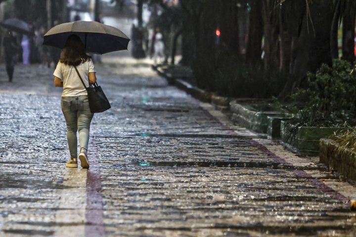 Find out in which regions of Brazil it will rain above average in summer